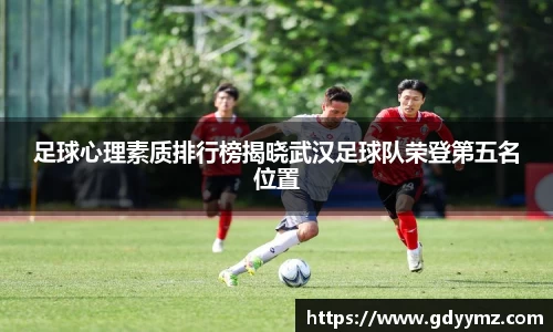 足球心理素质排行榜揭晓武汉足球队荣登第五名位置
