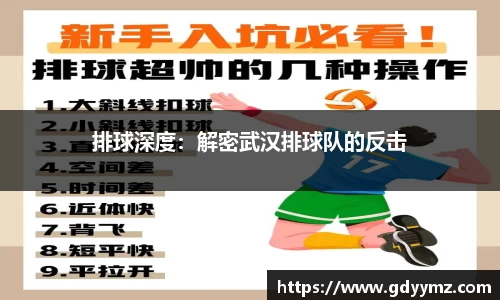 排球深度：解密武汉排球队的反击