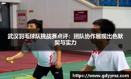 武汉羽毛球队挑战赛点评：团队协作展现出色默契与实力