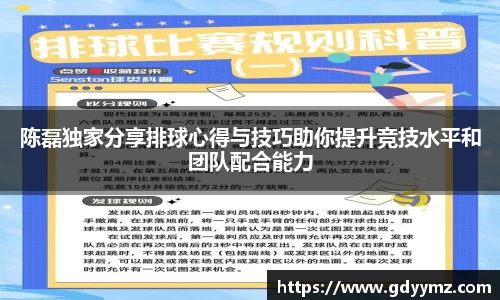 陈磊独家分享排球心得与技巧助你提升竞技水平和团队配合能力