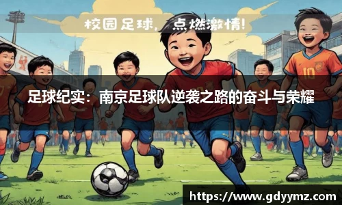足球纪实：南京足球队逆袭之路的奋斗与荣耀