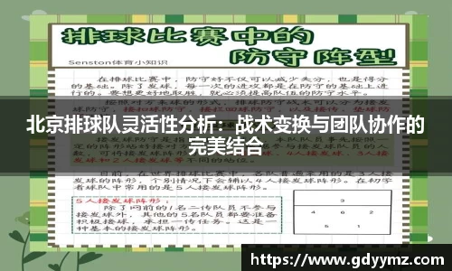 北京排球队灵活性分析：战术变换与团队协作的完美结合