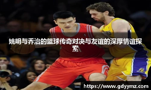 JJB竞技宝官网