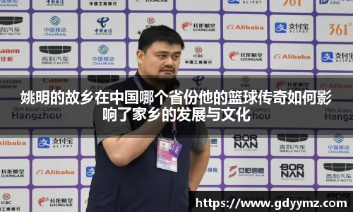 JJB竞技宝官网