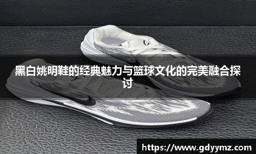 黑白姚明鞋的经典魅力与篮球文化的完美融合探讨