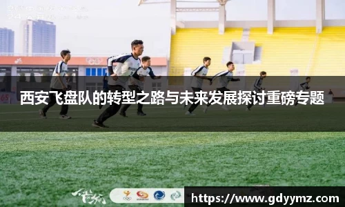 西安飞盘队的转型之路与未来发展探讨重磅专题