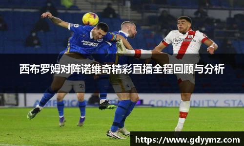 西布罗姆对阵诺维奇精彩直播全程回顾与分析