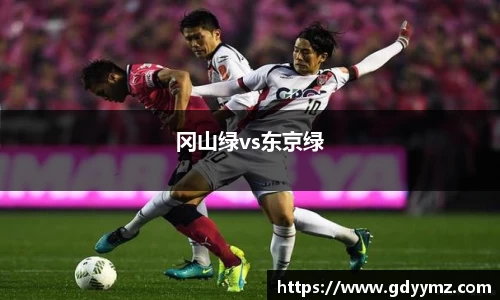 冈山绿vs东京绿
