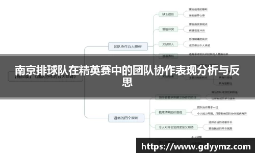 南京排球队在精英赛中的团队协作表现分析与反思