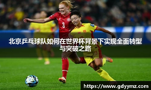 北京乒乓球队如何在世界杯背景下实现全面转型与突破之路