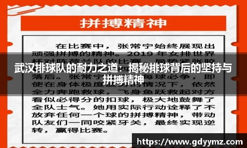 武汉排球队的耐力之道：揭秘排球背后的坚持与拼搏精神