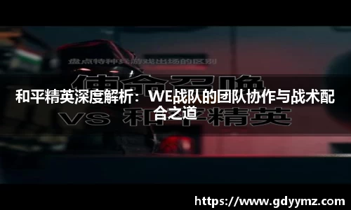 和平精英深度解析：WE战队的团队协作与战术配合之道